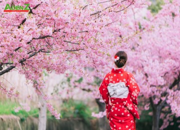 Tour du lịch Nhật Bản - Cung Đường Vàng mùa hoa anh đào - Vietnam Airlines