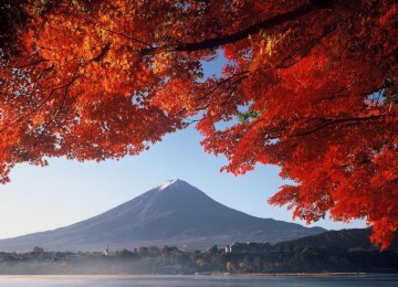 Tour du lịch Nhật Bản Mùa Thu 2023 - CUNG ĐƯỜNG VÀNG 2023 - MÙA THU LÁ ĐỎ