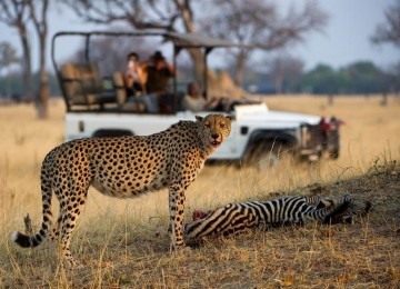 TOUR DU LỊCH ZIMBABWE EXPLORER - VICTORIA FALLS – CÔNG VIÊN QUỐC GIA ZAMBEZI, HWANGE, MATOBO – DI TÍCH ĐẠI ZIMBABWE – HARARE