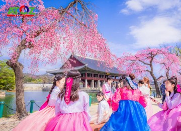 Tour Du lịch Hàn Quốc - MÙA HOA ANH ĐÀO 2024 BUSAN - DAEGU - SEOUL - NAMI 
