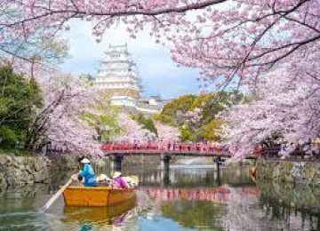 Tour Du Lịch Nhật Bản - Ngắm hoa anh đào 2023