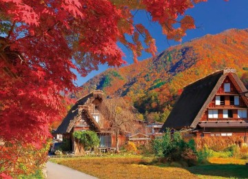  TOUR NHẬT BẢN CUNG ĐƯỜNG CỔ TÍCH MÙA THU - THAM QUAN LÀNG CỔ SHIRAKAWAGO